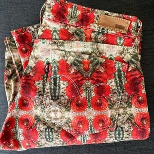 Levi’s Rare Cactus Flower Premium Jeans - Sample?
